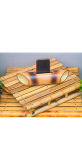 Picture for category Bamboo Amplifiers