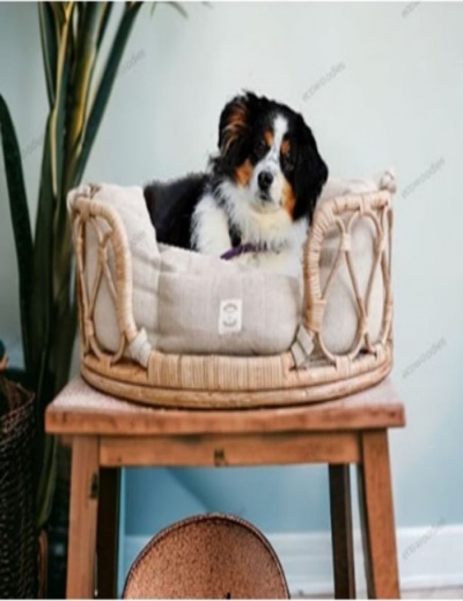 Picture of Bamboo Dog Pet Bed