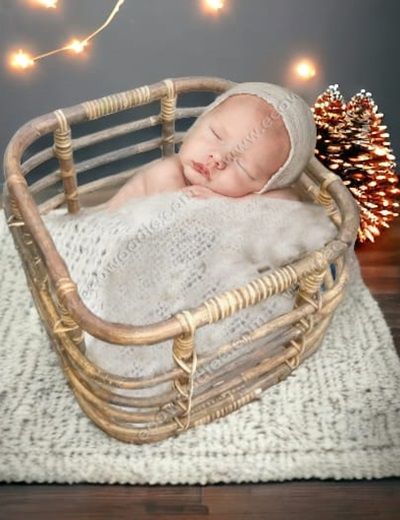 Picture of Newborn Photo Prop Basket