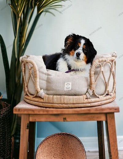 Picture of Bamboo Dog Pet Bed