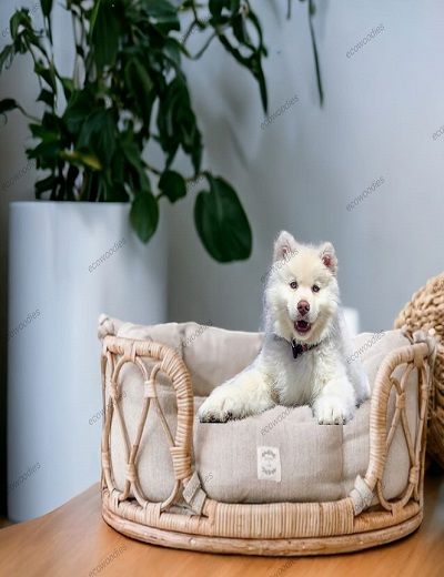 Picture of Bamboo Dog Pet Bed