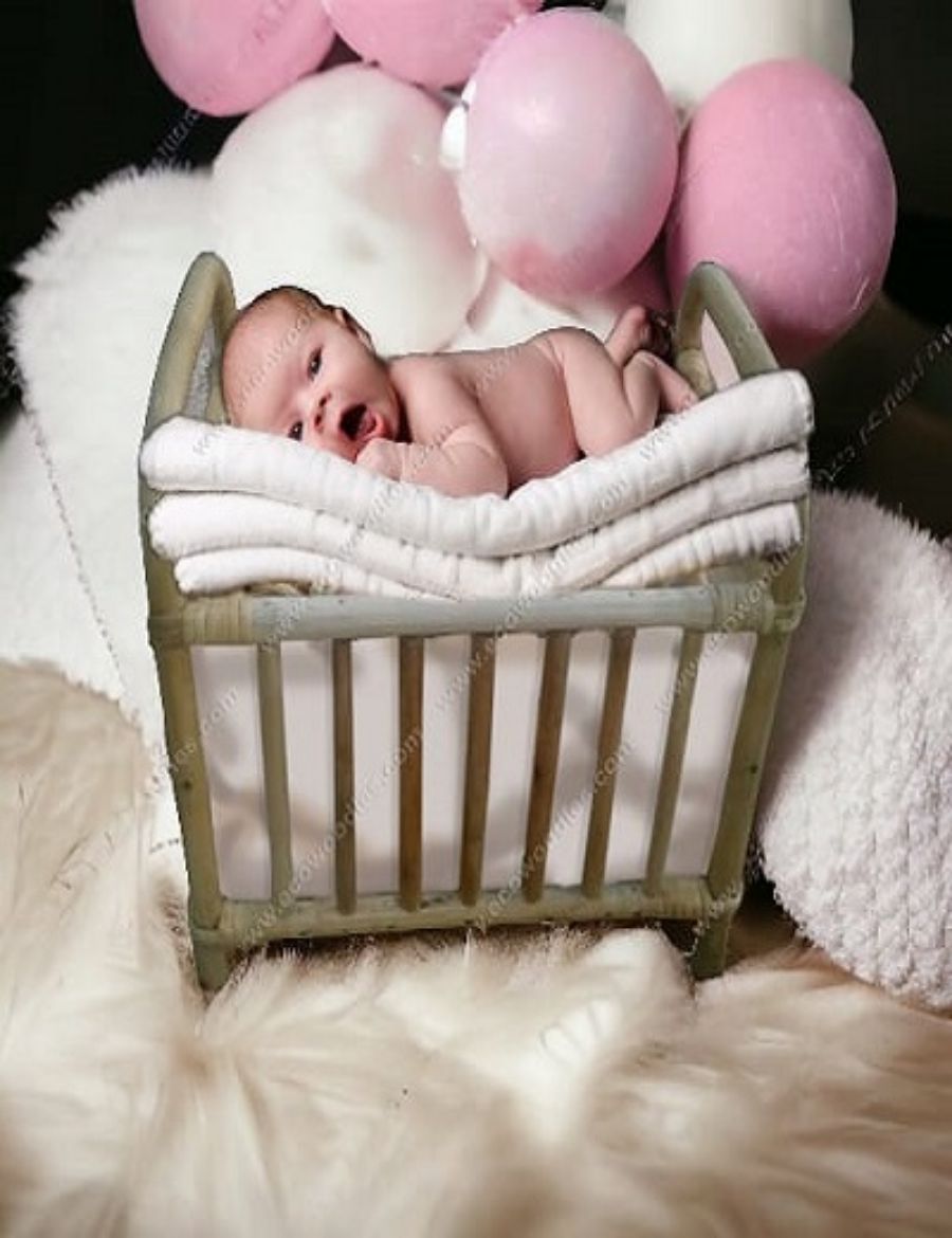 Picture of  Newborn Photography Bamboo Bed