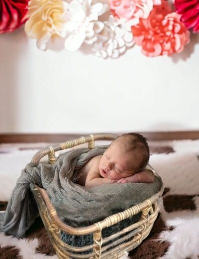 Picture of Bamboo Photo Prop Basket