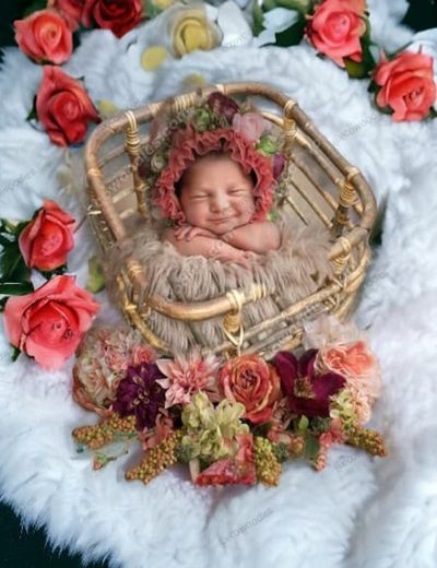 Picture of Bamboo Photo Prop Basket