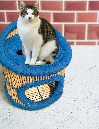 Picture of Handmade Pet Bed