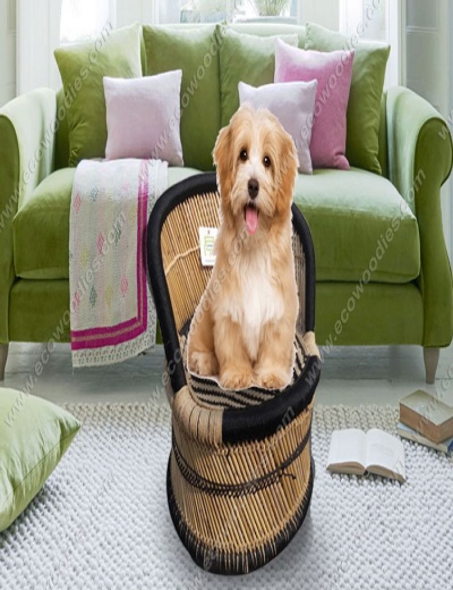 Picture of Bamboo Pet Chair