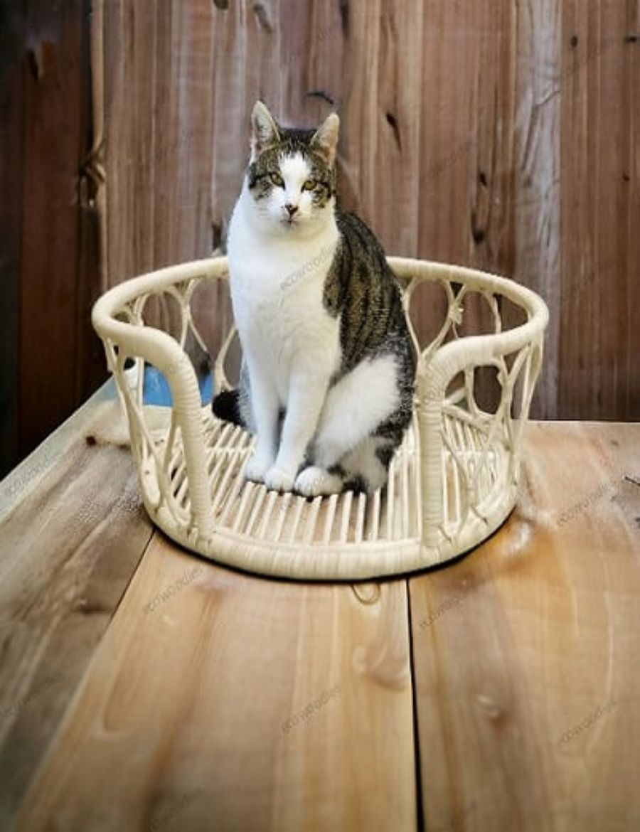 Picture of Cane Pet Crib