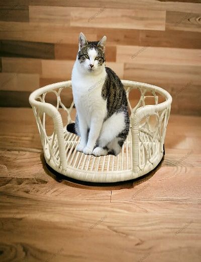 Picture of Cane Pet Crib