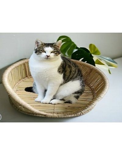 Picture of Wicker Pet Bed