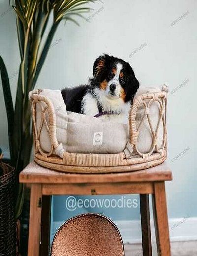 Picture of Pet Comfort Crib