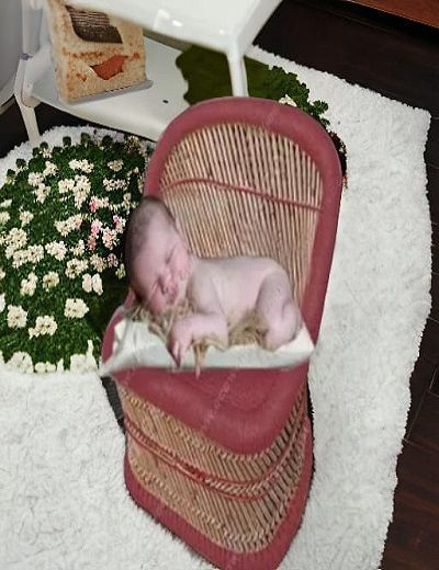 Picture of Newborn Sofa Red Sofa