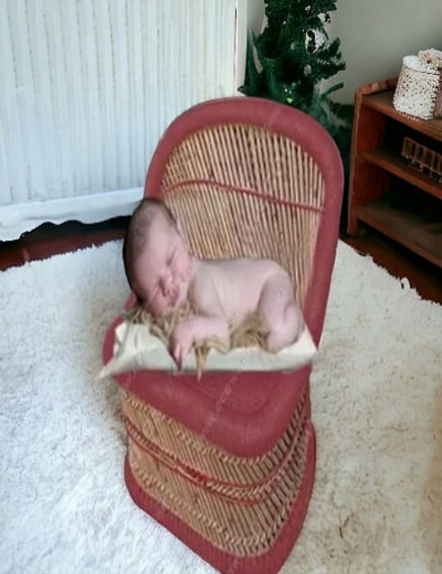 Picture of Newborn Sofa Red Sofa