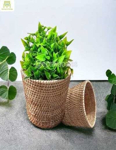 Picture of Natural Decorative Cane Wicker Round Planter Basket for Plants