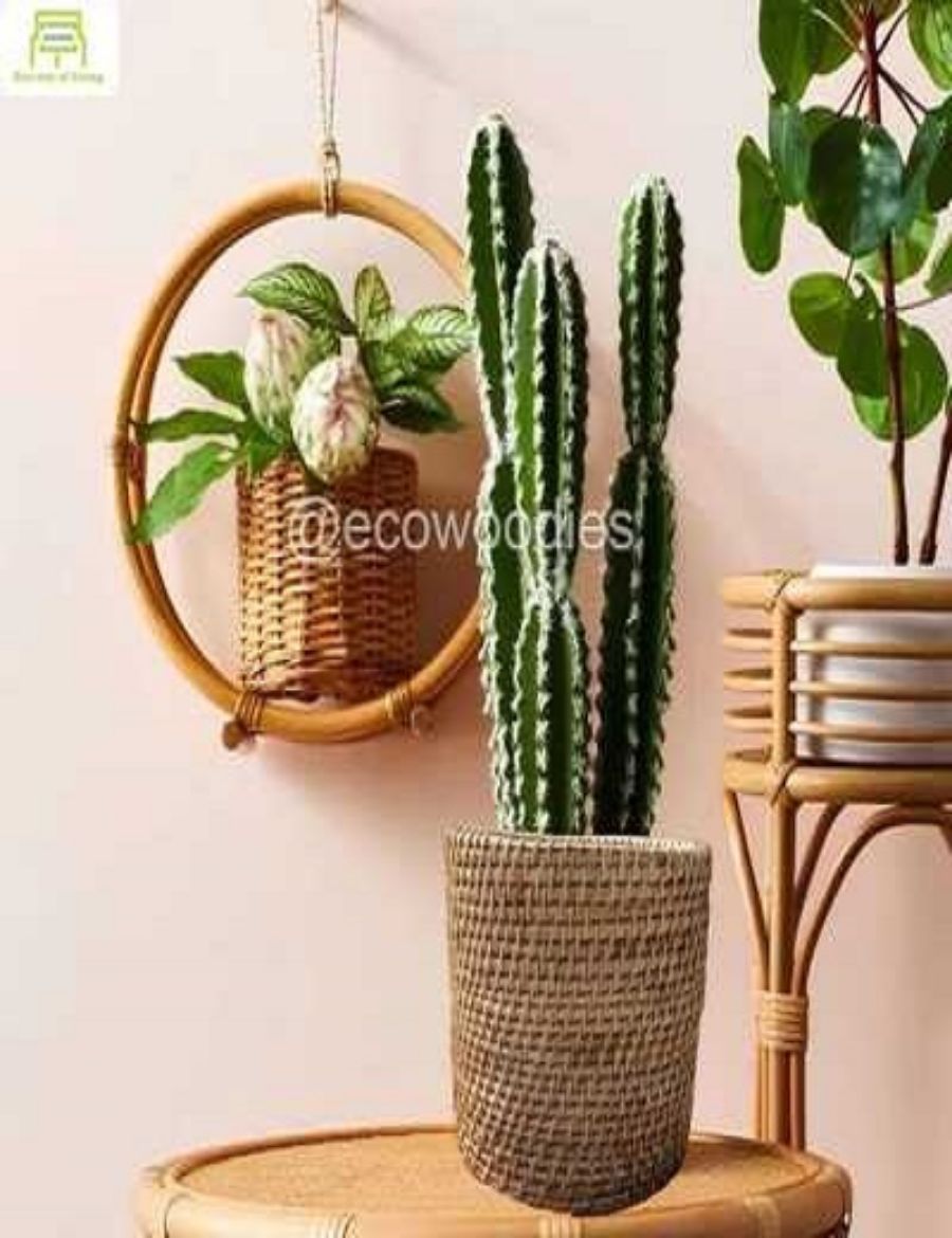 Picture of Natural Decorative Cane Wicker Round Planter Basket for Plants