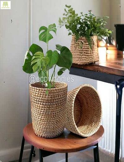 Picture of  Eco-Friendly  Rounded Shape Handcraft Cane Wicker Round Planter Basket for Plants 