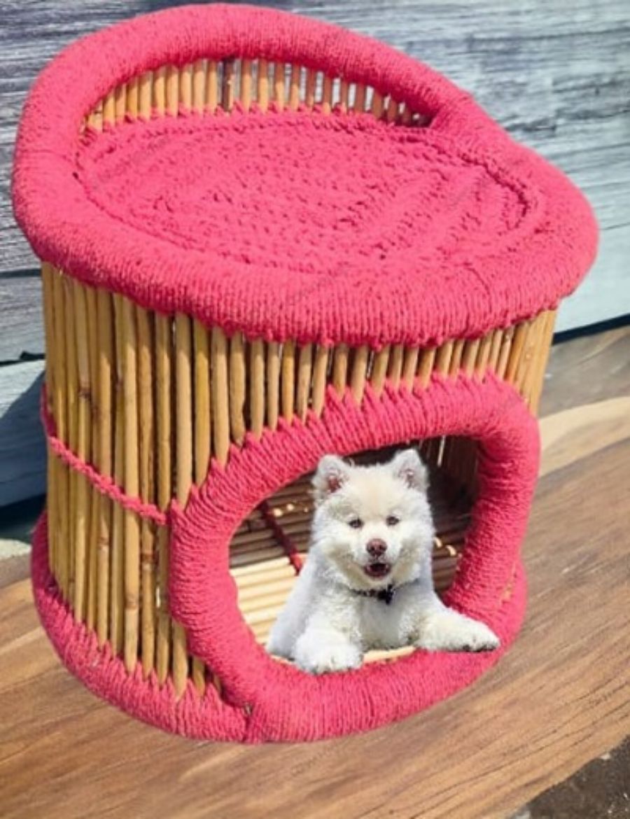 Picture of Bamboo Pet Bed