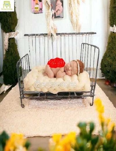 Picture of Newborn Metal Steel Dainty Iron Bed Newborn Photography Bed  