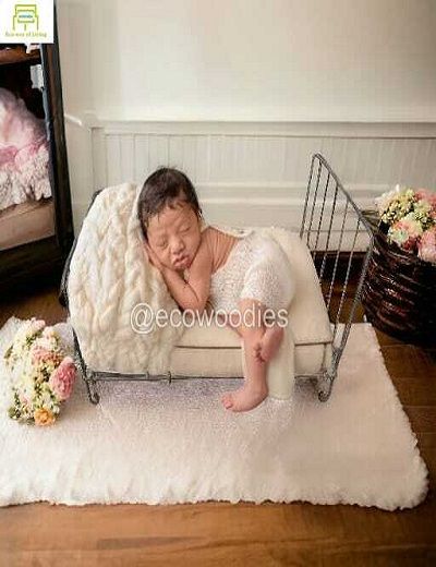 Picture of Newborn Metal Steel Dainty Iron Bed Newborn Photography Bed  